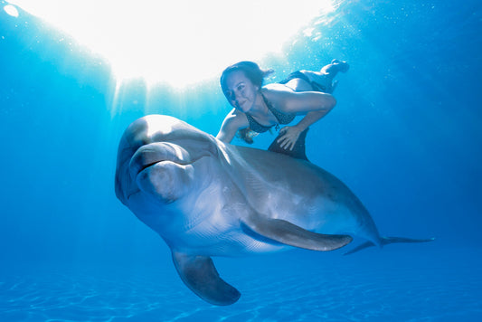 Dive into Adventure – The Best Water Activities in Los Cabos